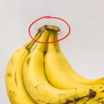 Nunca tires esta parte de los plátanos: por eso vale oro en la casa