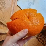 Cáscaras de naranja frente a la puerta principal, resuelve un problema generalizado