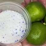 El baño nunca se ensucia y huele constantemente con este método natural