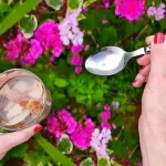 Si quieres un jardín lleno de flores que todos envidien tienes que hacer esto