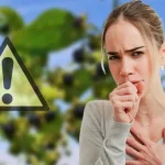 Cuidado con esta hermosa planta en el jardín: un peligro para los pulmones