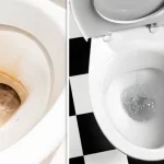Cleaning the toilet: since I discovered this method it is always white and shiny! I no longer use chemicals!
