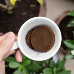 Cómo estimular las plantas con flores: 3 métodos simples para probar