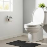 Encrusted and limescale-filled toilet: how to make it sparkling white