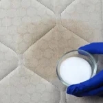 How to Clean a Dirty Toilet and Remove Urine Smell from Couch, Mattress and Bathroom