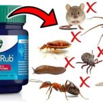 How to Eliminate Household Pests Using Vicks VapoRub
