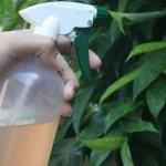 How to Make Turmeric Spray: The Ultimate Natural Insect Repellent