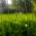 How to remove streaks from windows: just one ingredient is enough to make them shine.