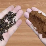 Mélangez simplement des clous de girofle avec du café : une astuce économique et polyvalente pour la maison