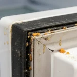 Refrigerator gaskets are black and dirty: how to clean them in two steps