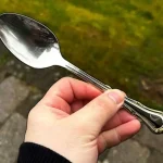 Leave a spoon in the garden before going to sleep: because many people do it