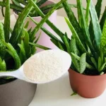 Put just 1 tablespoon in Aloe vera: everyone will want to know what the secret is