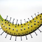 Stick nails into a banana, amazing what happens in just 10 minutes