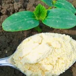 The surefire remedy to eliminate garden ants: they escape in 10 seconds