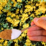 This will revive any yellowed or rotten plants in just a matter of hours
