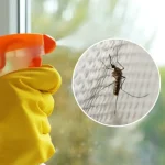 With this ingredient on your windows, you won’t even see the shadow of mosquitoes