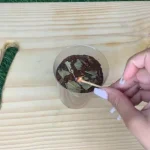 With this old home method you will solve a lot of problems at home